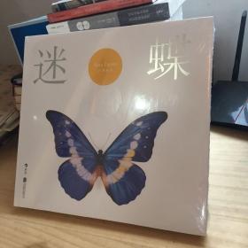 迷蝶