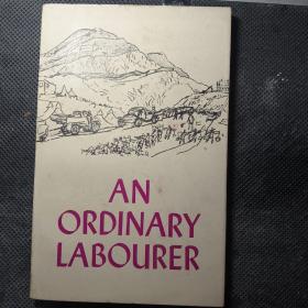 AN ORDINARY LABOURER 普通劳动者