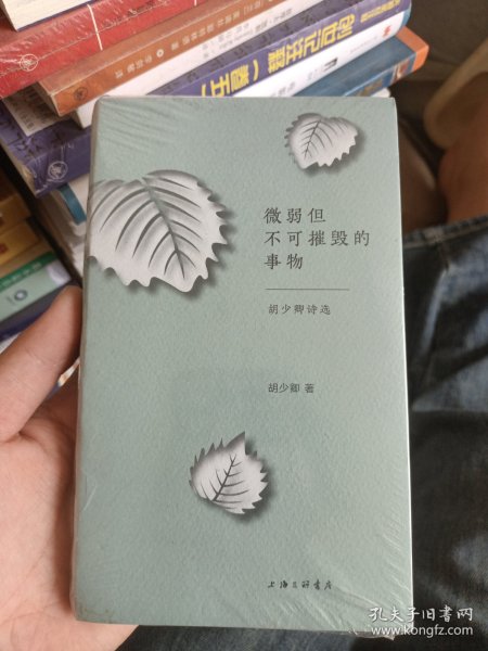 微弱但不可摧毁的事物：胡少卿诗选