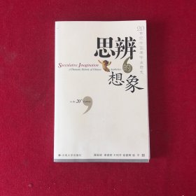 思辩的想象:20世纪中国美学主题史