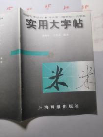 实用大字帖：宋米芾《蜀素帖》选字本——画报写字丛书