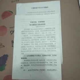 外抓市场，内抓管理努力提高企业经济效益——兰陵集团平邑分公司+公司概况