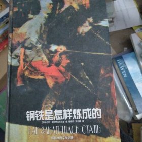 钢铁是怎样炼成的