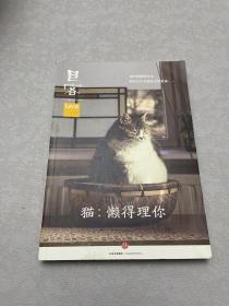 Lens·目客004·猫：懒得理你：我们爱猫的自由，和它几乎忘恩负义的性格……