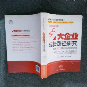 大企业成长路径研究