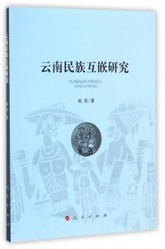 【正版新书】云南民族互嵌研究