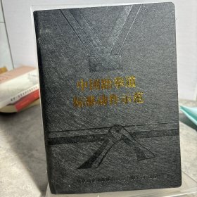 中国跆拳道标准动作示范