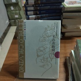 不存在的骑士