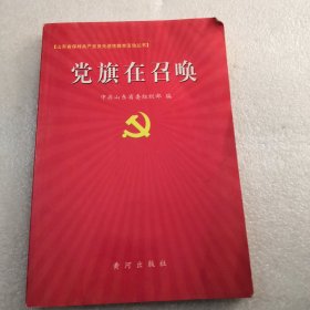 党旗在召唤，共201页实拍图品相如图