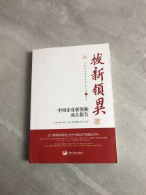 拔新领异 中国企业新领袖成长报告