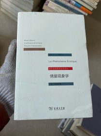 情爱现象学：六个沉思