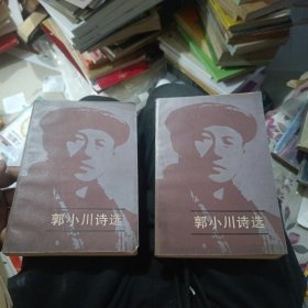 郭小川诗选 上下册（上册缺后皮）
