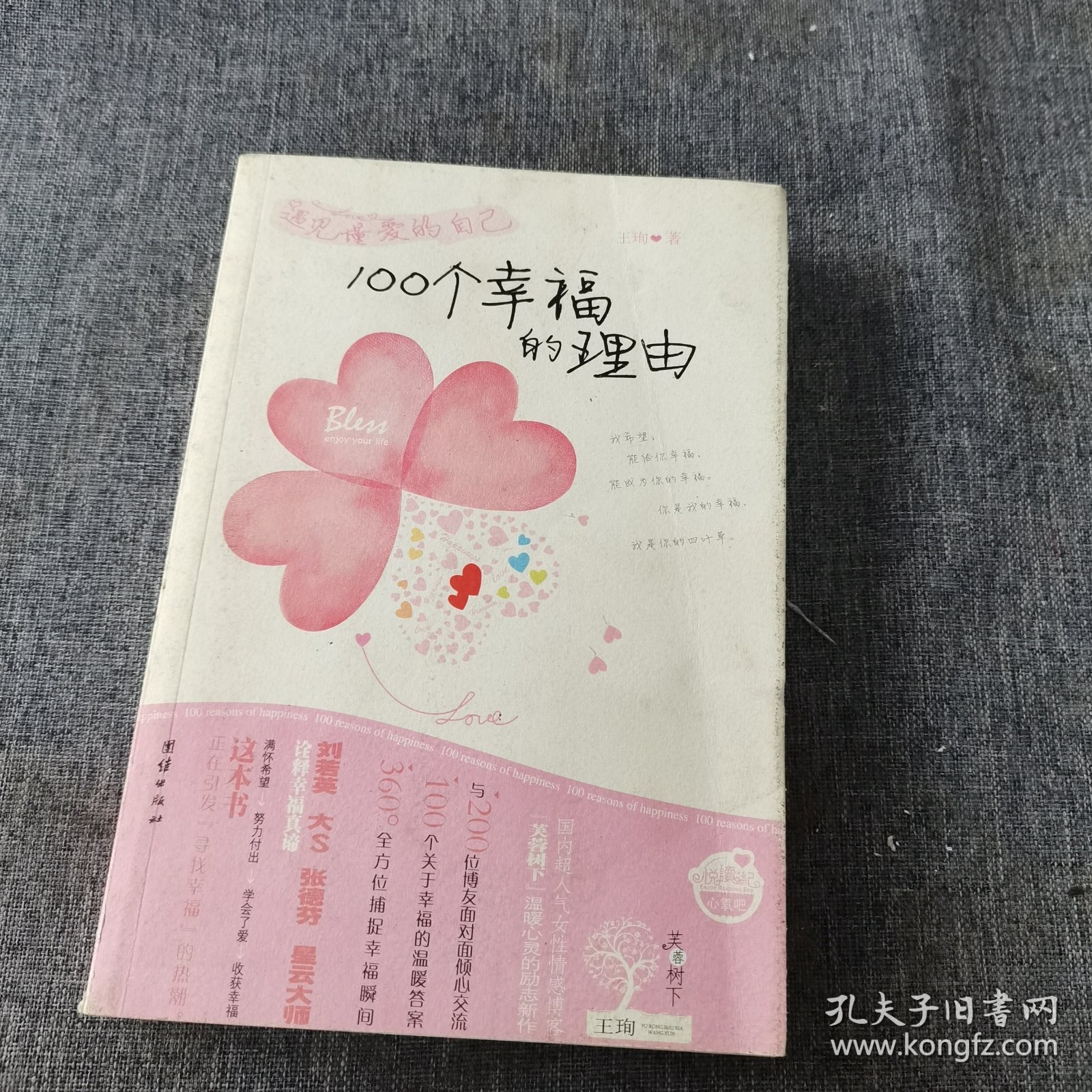 遇见懂爱的自己：100个幸福的理由