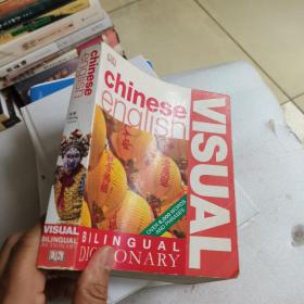 Chinese-English Visual Bilingual Dictionary