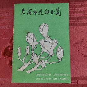 上海市花白玉兰