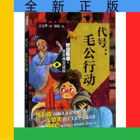 代号--毛公行动/时空隧道之故宫瑰宝迷踪
