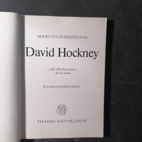 David Hockney with 186 illustrations 36 in colour