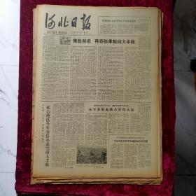 老报纸：河北日报1978年7月17日