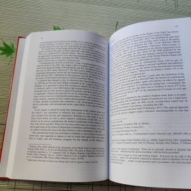 Litigating the Rights of the Child The UN Convention on the Rights of the Child in Domestic and International Jurisprudence