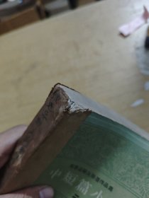 陀思妥耶夫斯基作品集中短篇小说 二