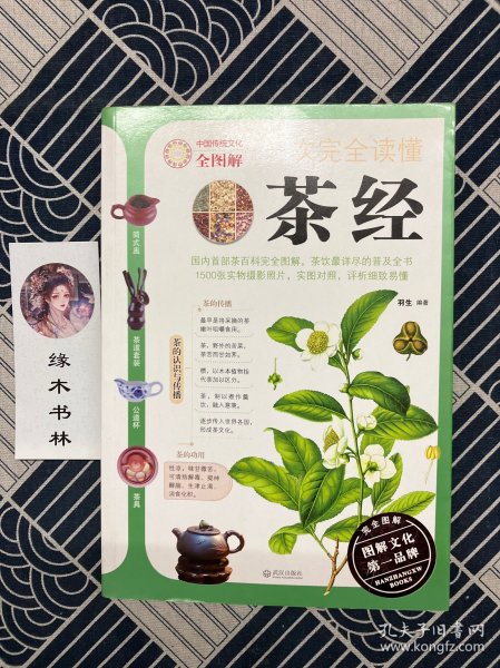 一次完全读懂茶经