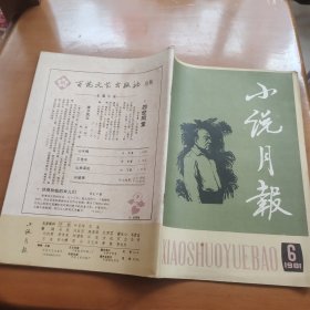 小说月报1981 6