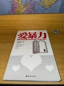 爱暴力：献给那些在爱中挣扎的孩子及其父母们
