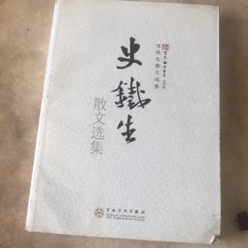 史铁生散文选集