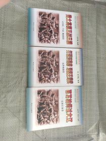 黄土高原三战三捷:记青化砭、羊马河、蟠龙镇战役+百万雄师过大江:记渡江战役+打进济南府 活捉王耀武记济南战役（3本合售）