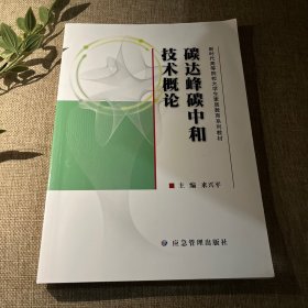碳達(dá)峰碳中和技術(shù)概論（新時(shí)代高等院校大學(xué)生素質(zhì)教育系列教材）