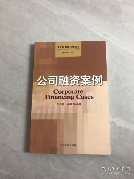 公司融资案例