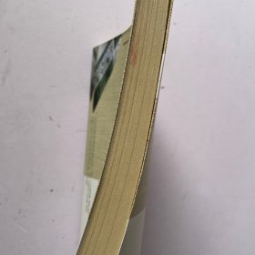 保安族服饰文化解读