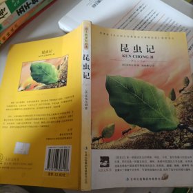 名师审定版 大语文 昆虫记，