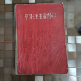 学习《毛主席诗词》