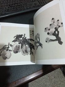 荣宝斋画谱 古代部分 79 吴昌硕花卉部分