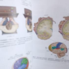 心理学导论：思想与行为的认识之路
