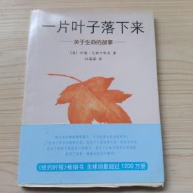 一片叶子落下来