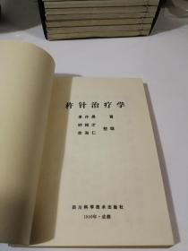 杵针治疗学