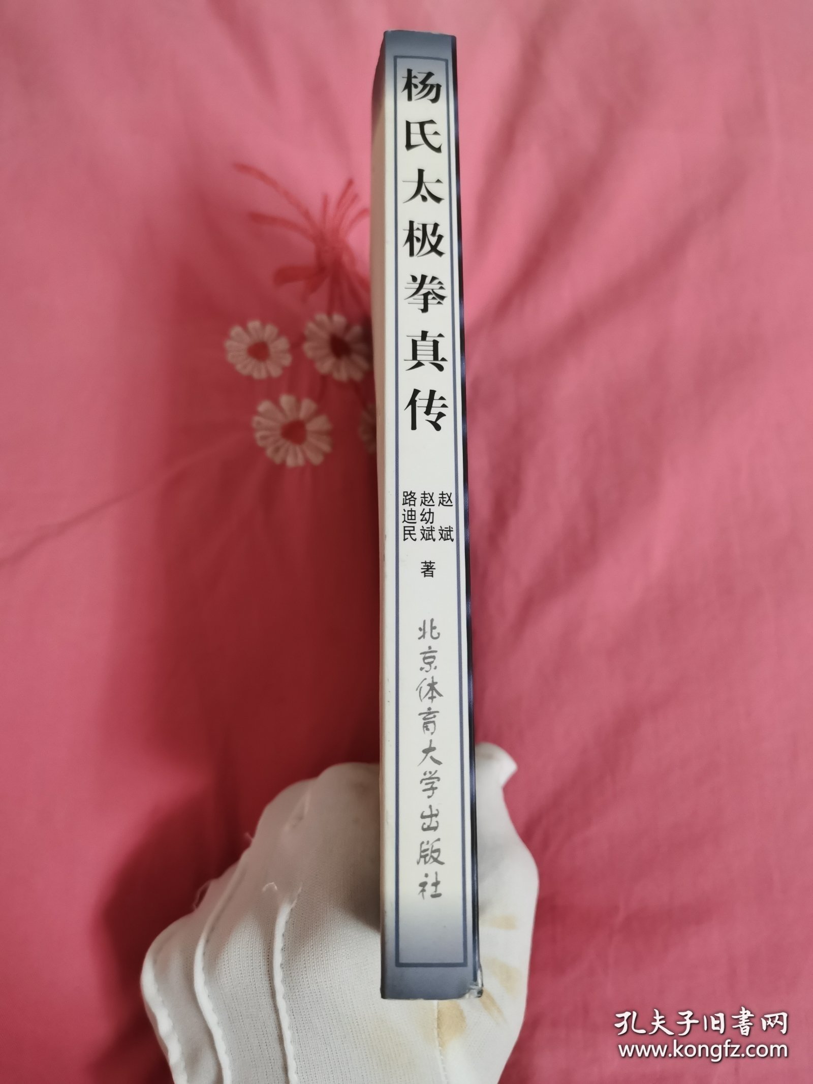《杨氏太极拳真传》