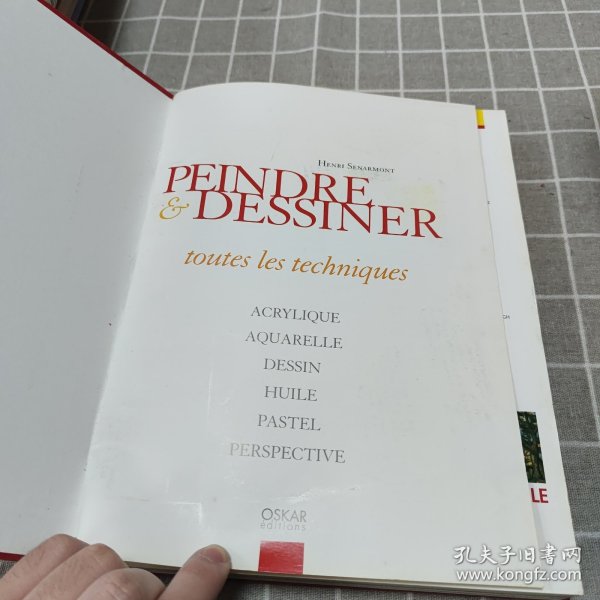 peindre desstner 法文 原版 画册