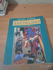 Introduction To Sociology