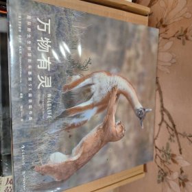 万物有灵 国际野生生物摄影年赛第55届获奖作品（英）罗莎蒙德·基德曼·考克斯编 陈沁译