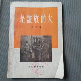 《是谁放的火》