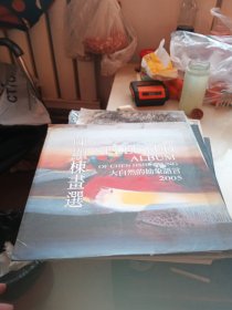 陈显栋画选——大自然的抽象语言