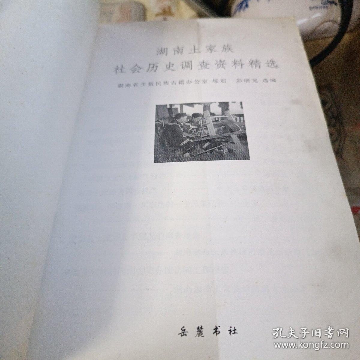 湖南土家族社会历史调查资料精选