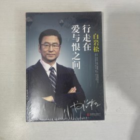 白岩松：行走在爱与恨之间（新版）