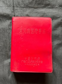 常见病医疗手册
