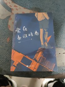 爱在秦淮硅巷