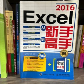 Excel 2016从新手到高手