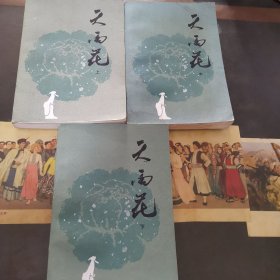 天雨花（上、中、下）